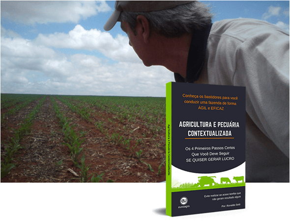 Condução da Agricultura e da Pecuária