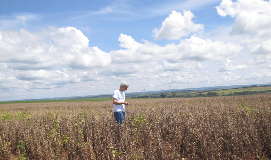Condução da Agricultura e da Pecuária