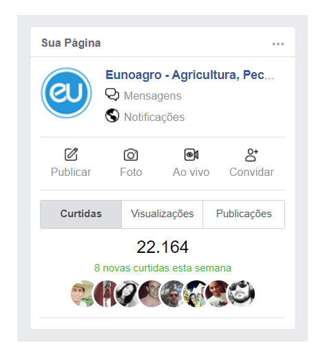 Conteúdo valioso
