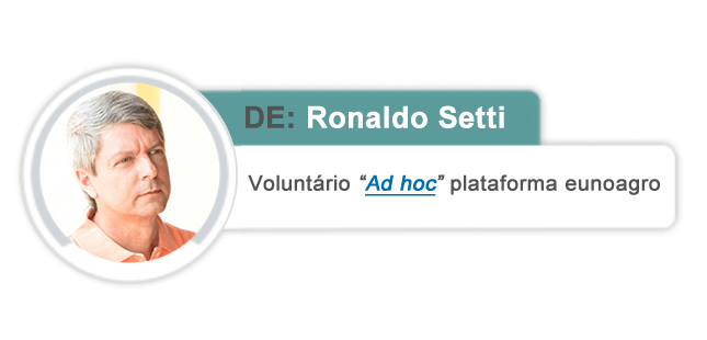 Ronaldo Setti - Fazenda ou Consultoria